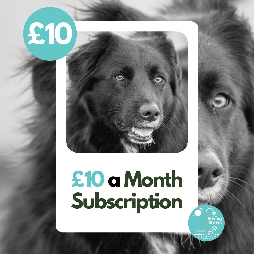 £10 Monthly Subscription
