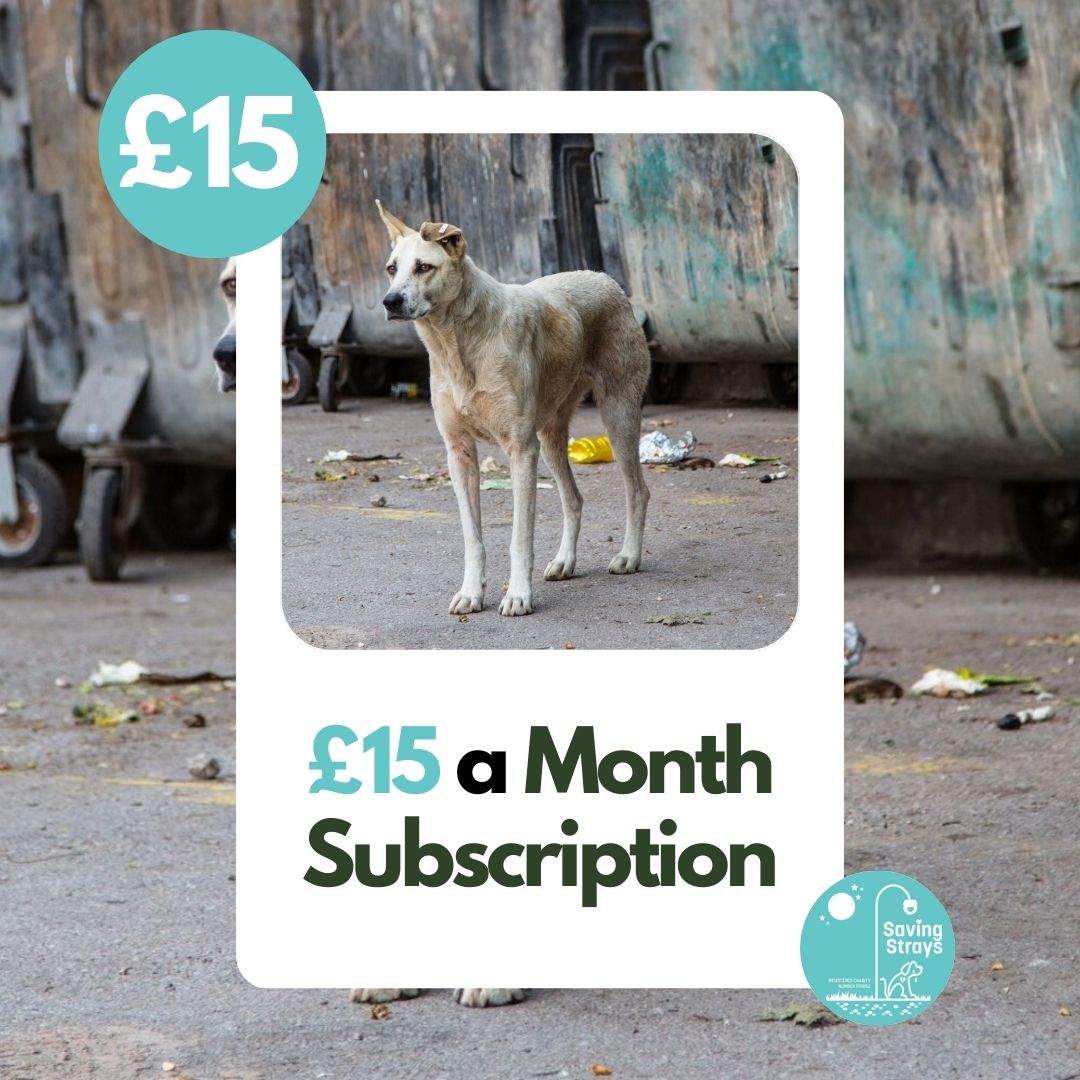 £15 Monthly Subscription