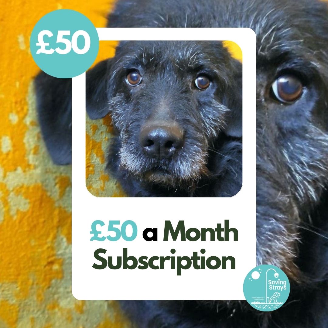 £50 Monthly Subscription