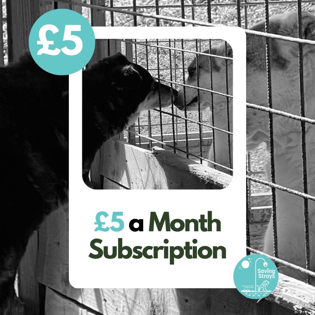 £5 Monthly Subscription