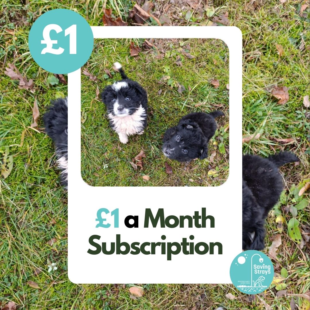 £1 Monthly Subscription