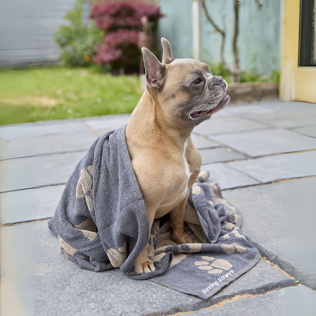 Saving Strays Jumbo Terry Dog Towel