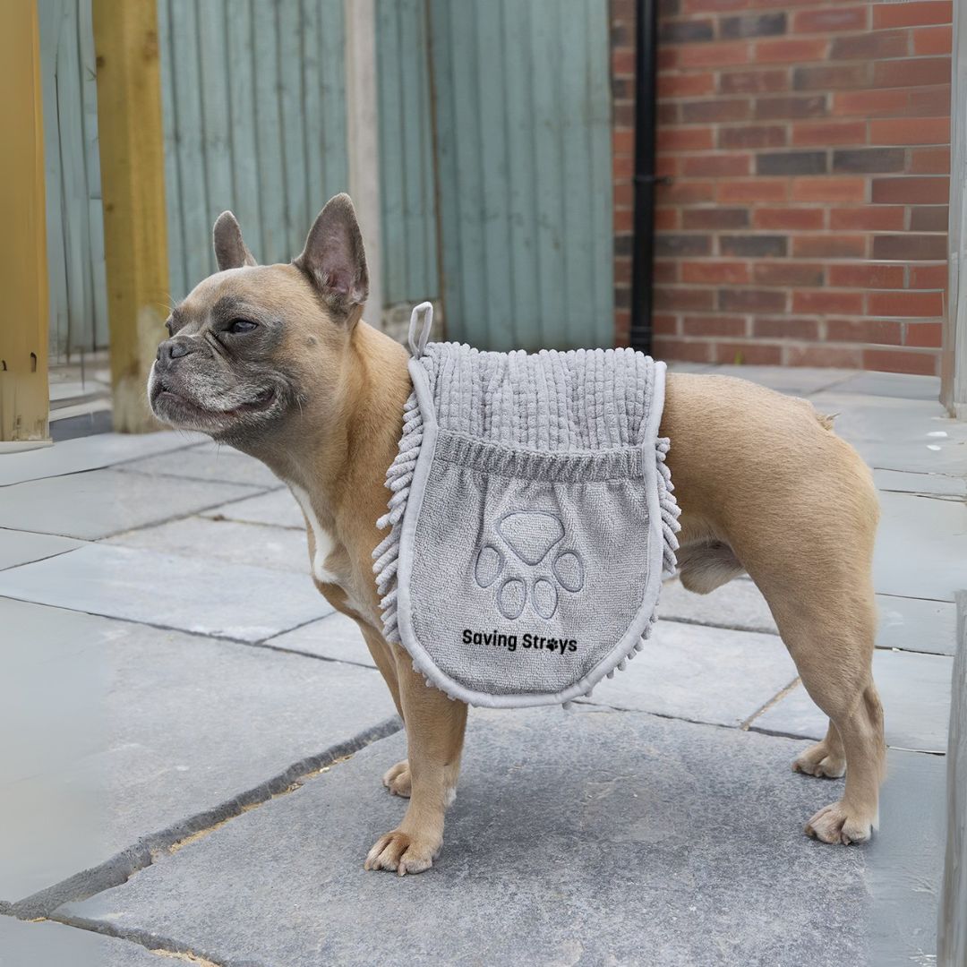 Saving Strays Noodle Pet Towel