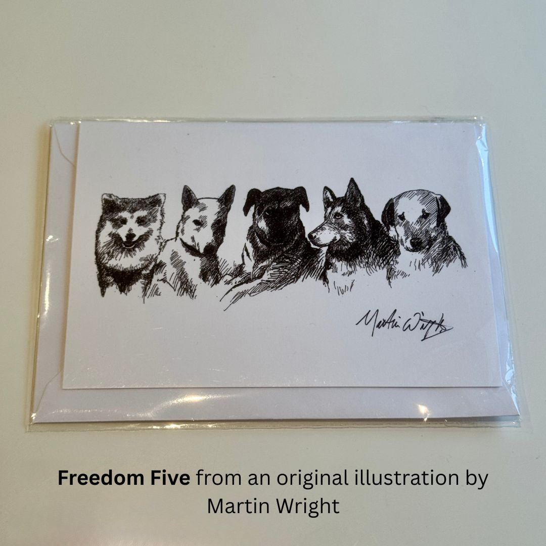 Rescued Dog Cards