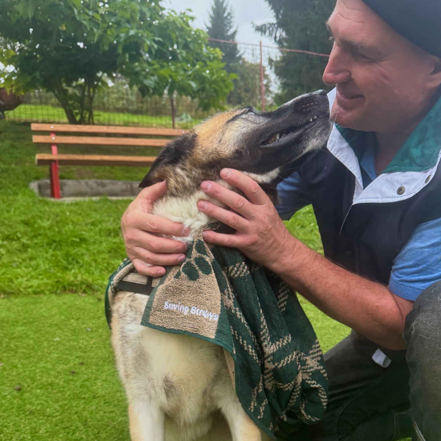 Saving Strays Jumbo Terry Dog Towel