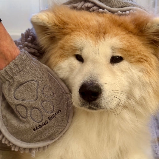 Saving Strays Noodle Pet Towel