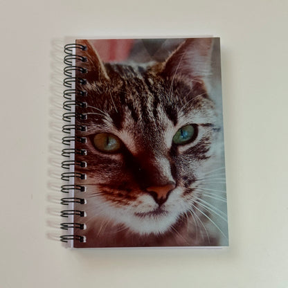 Saving Strays Notepads, assorted designs
