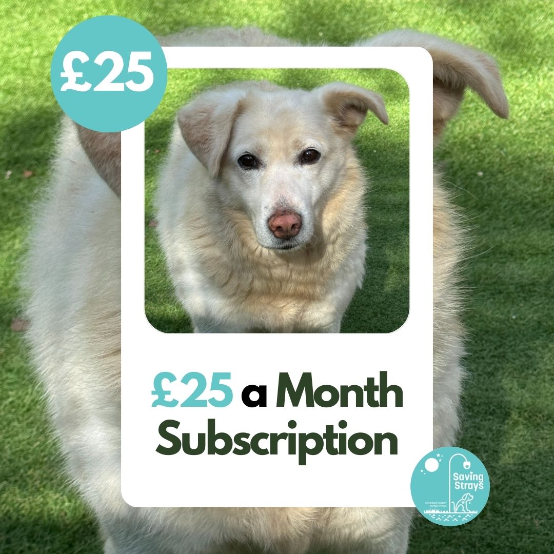 £25 Monthly Subscription