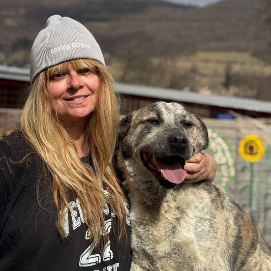 Saving Strays Organic Cotton Fine Knit Beanie